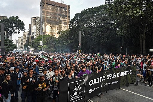 brazil cannabis legalization demo