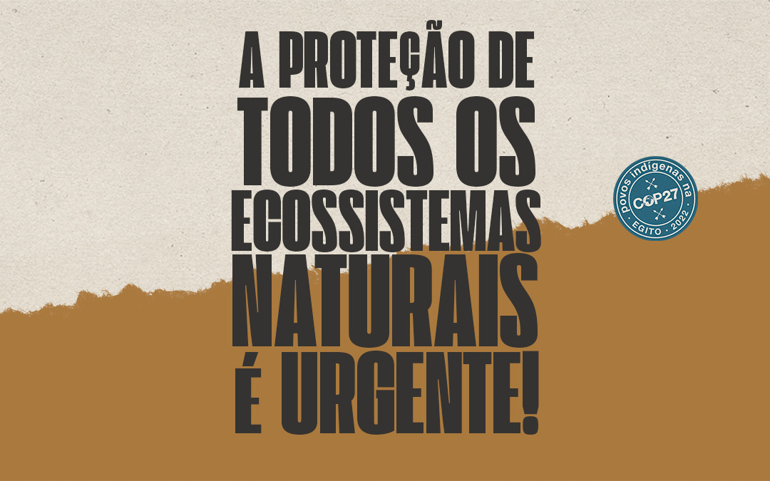 Sobre proteção urgente do Cerrado e outros ecossistemas naturais