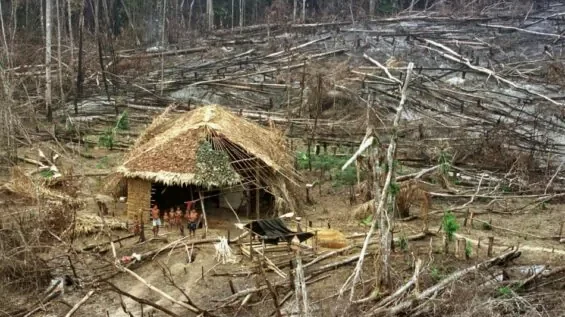 Desmatamento na Amazônia: o vilão do aumento do combustível climático