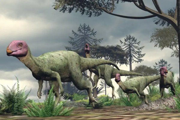 Nova espécie de dinossauro é descoberta na Tailândia