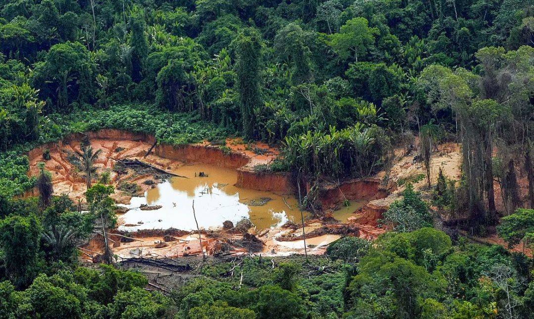 Amazônia possui mais de 4 mil garimpos ilegais, mostra estudo