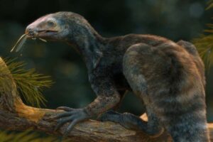 Réptil com 'mãos de tesoura' da época dos dinossauros é descoberto no Brasil