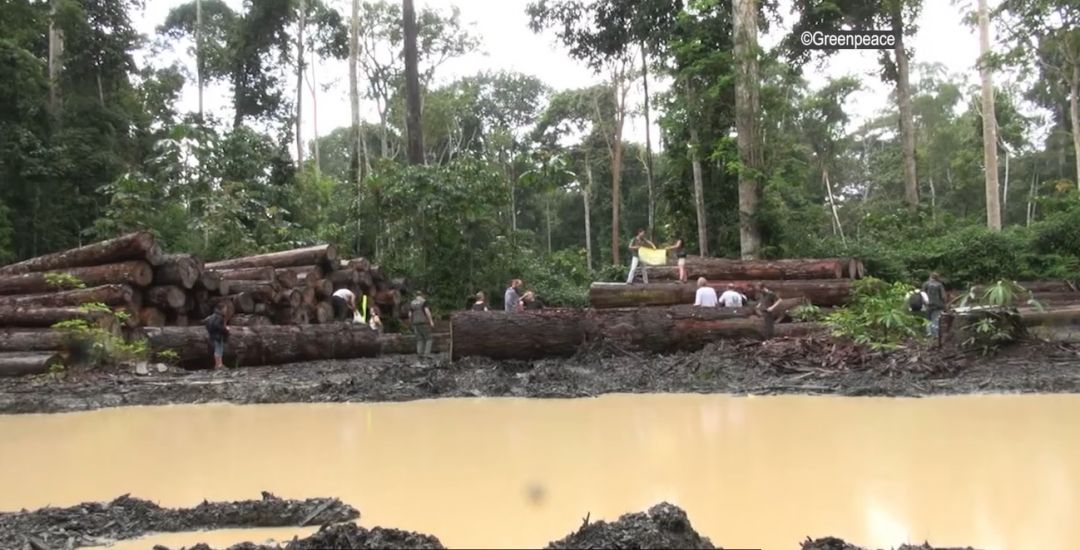 Amazônia: área pública do tamanho do Uruguai está ameaçada pela grilagem