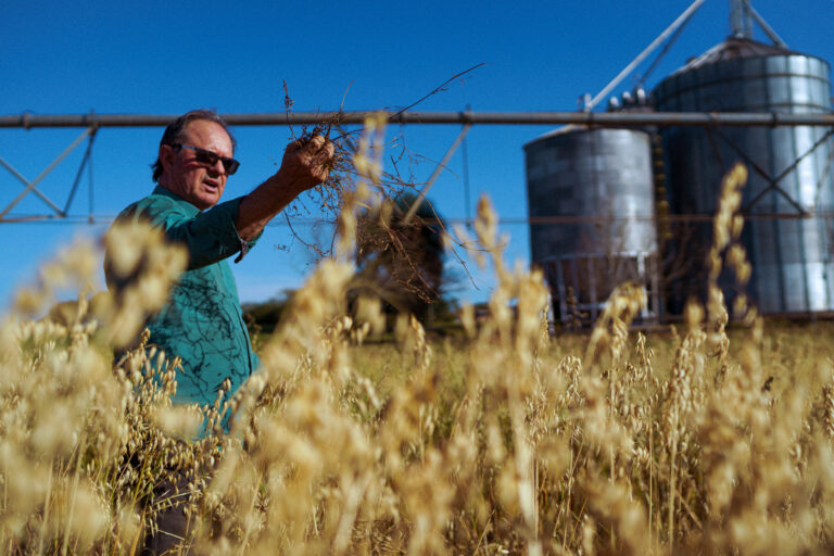 Após seca histórica, El Niño leva chuvas abundantes ao Rio Grande do Sul