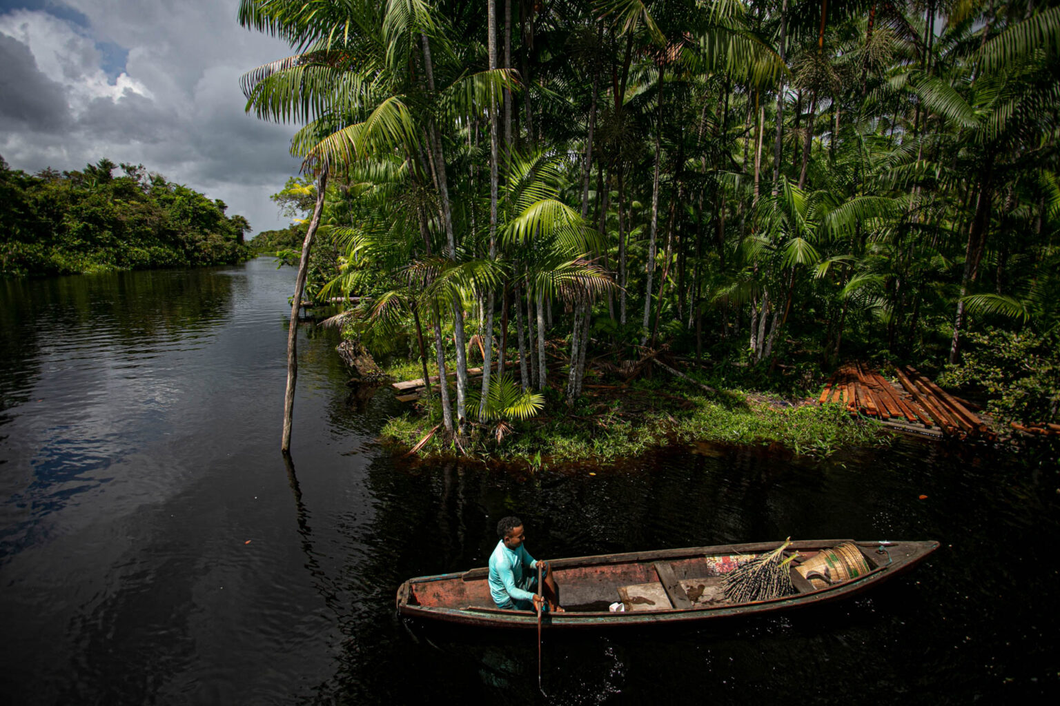 Caroços do açaí movem economias na Amazônia