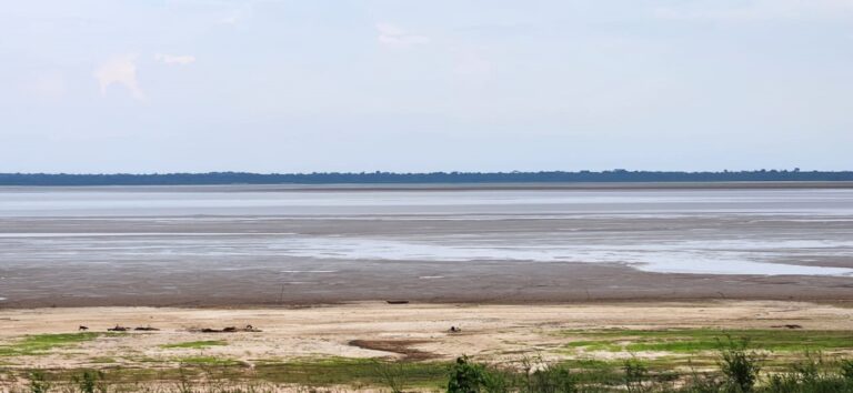 Com seca extrema, rio Amazonas deve baixar históricos 8 metros em setembro