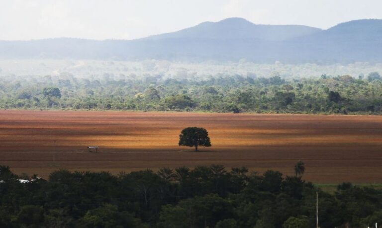 Alto Paraíso de Goiás (GO) - Foto: Marcelo Camargo/Agência Brasil