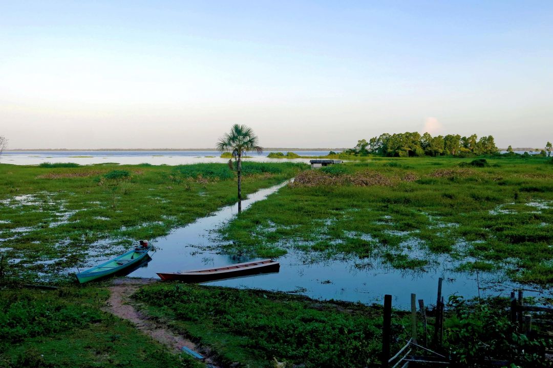 Conheça quatro projetos do Pará realizados na região amazônica