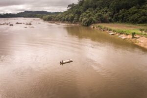 David e Golias na guerra florestal