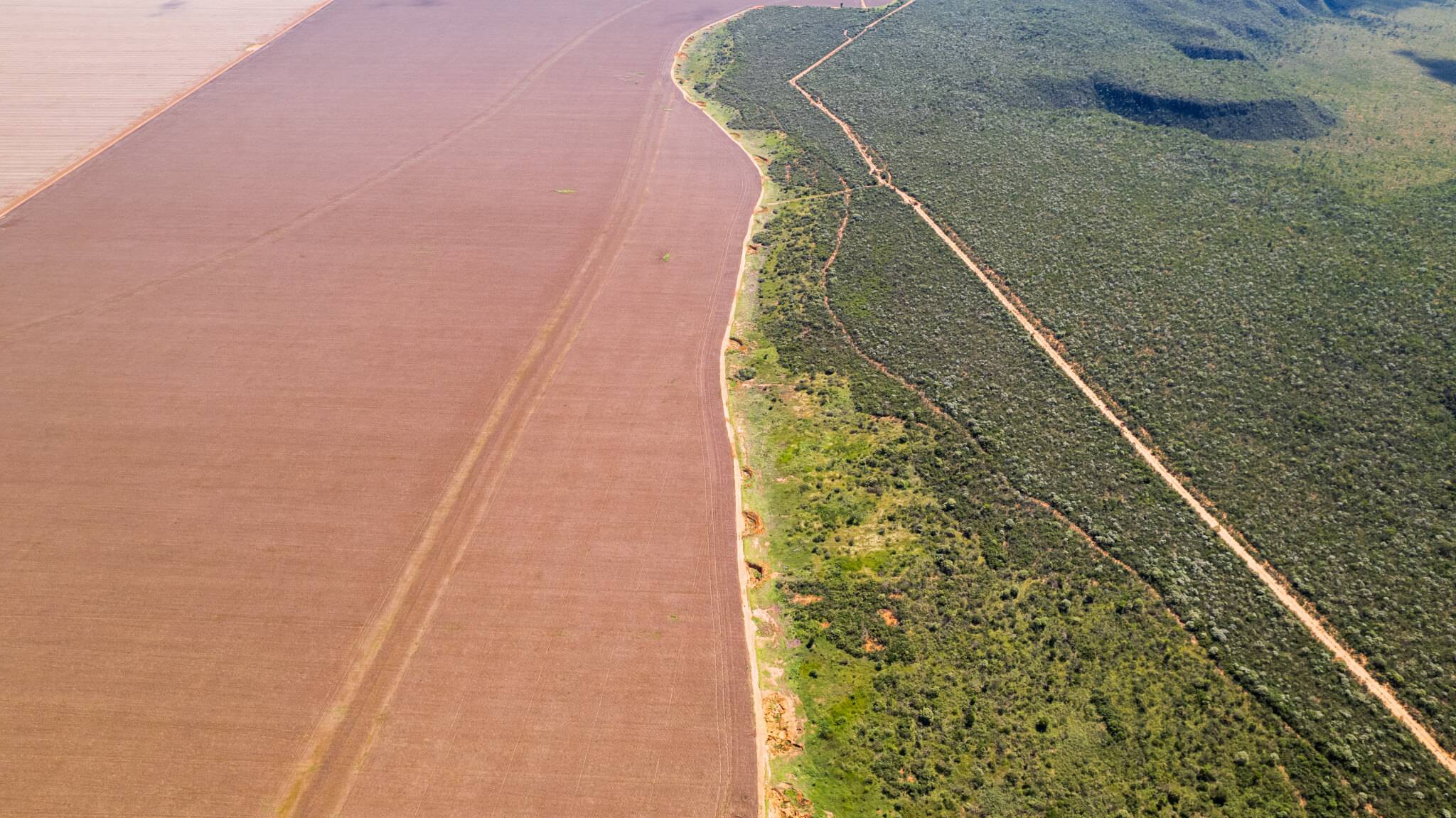 Câmara derruba proteção a campos naturais e expõe 48 mi de hectares a desmate 