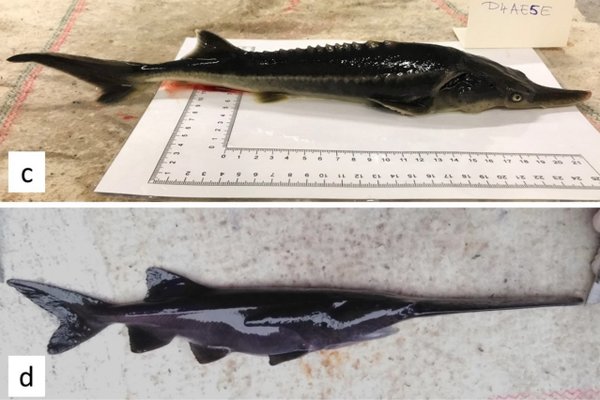 Ferrugem na Lua, líquido sólido e outras 5 coisas ‘impossíveis’ que não deveriam existir no universo – mas existem