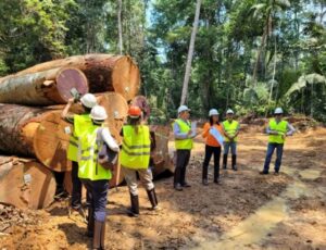 Flona Jamari completa 15 anos: confira como está a área da 1ª concessão florestal do país