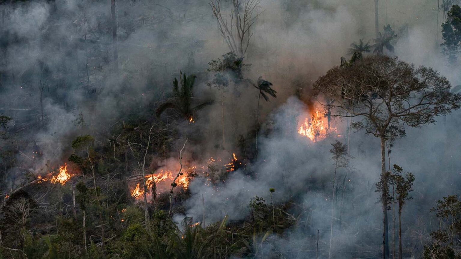 Fumaça das queimadas no sul do Amazonas atinge Manaus 