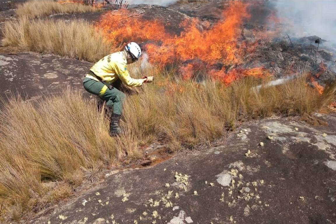 Inscrições abertas para o 2º Fórum Brasileiro de Voluntariado para Conservação