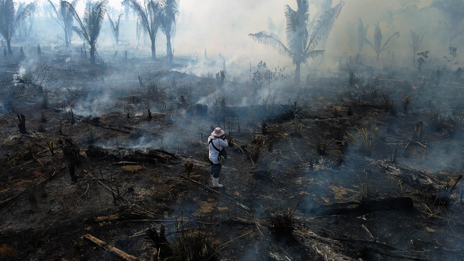 Jornalismo é alvo da violência na Amazônia, diz Repórteres Sem Fronteiras