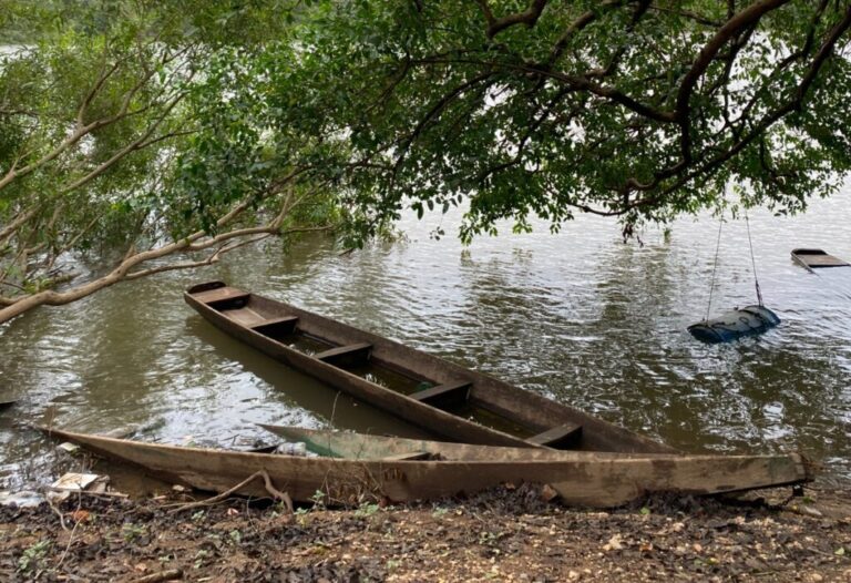 MT abre registro para pescadores a duas semanas da piracema