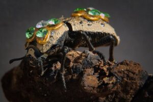 Makech: os besouros transformados em joias ainda vivos