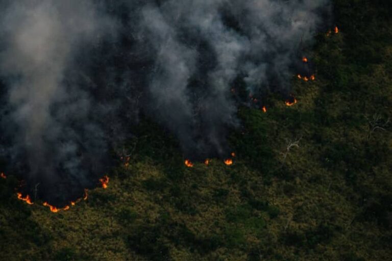 Amazônia em chamas – número de queimadas de janeiro a abril é 132% maior que 2023