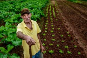Quem foram os primeiros fazendeiros no mundo?
