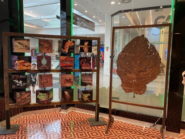 Sapos, a maior folha e até fóssil de dinossauro: MUSA realiza exposição gratuita em Manaus