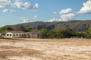 Tradição quilombola que preserva: a conservação do Cerrado pelos Kalunga