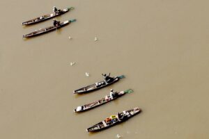 A questão da pesca e o falso discurso da sustentabilidade