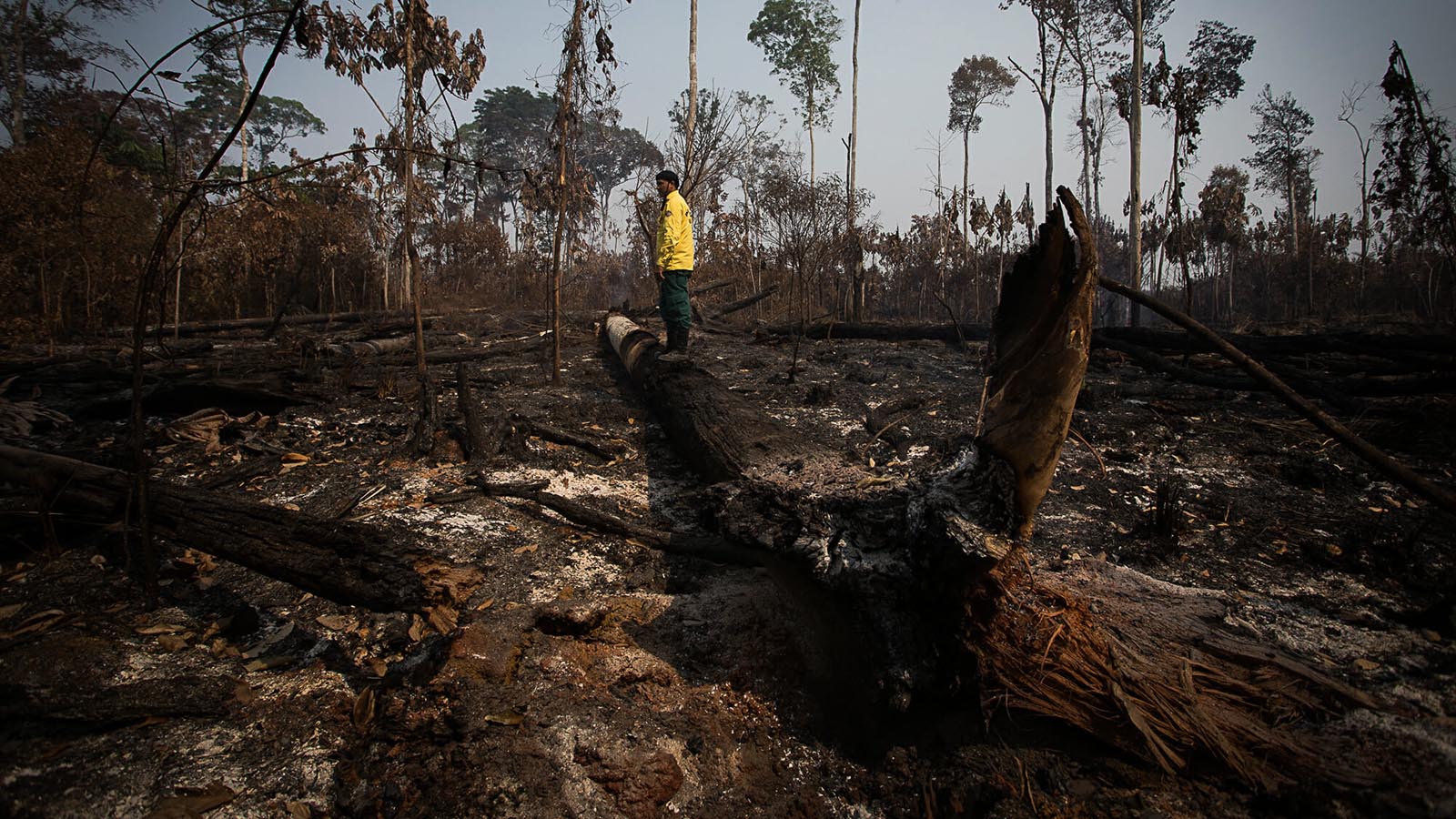 Amazônia, felizes os que Te viveram!