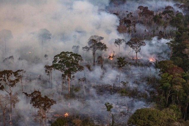 Apesar da queda no número de queimadas, fumaça segue implacável na Amazônia