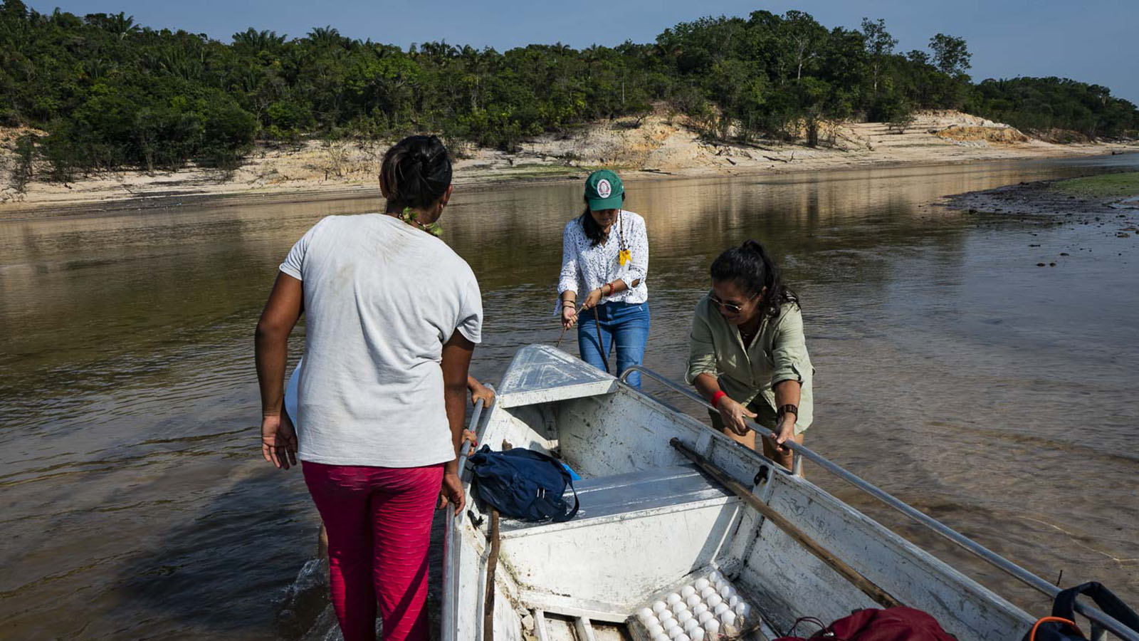 Até a formiga desapareceu – Amazônia Real