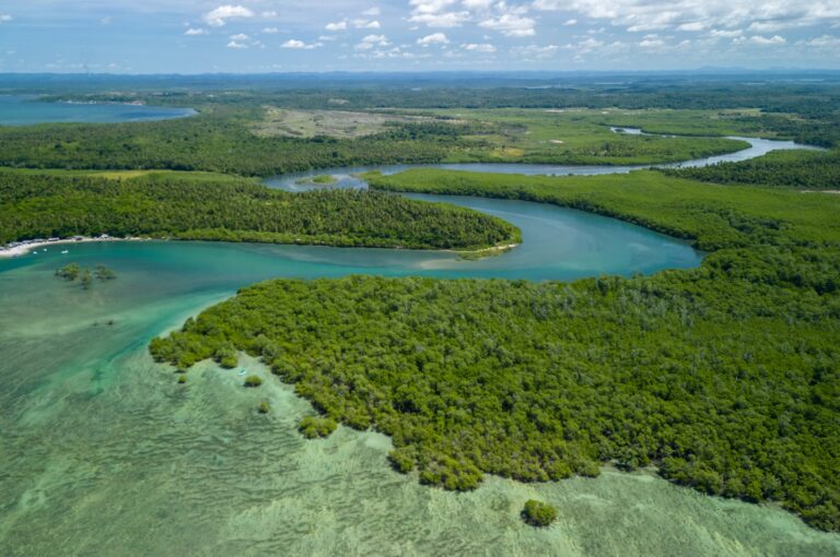 Boipeba aguarda posição do governo Lula sobre terras alvo de megaprojeto