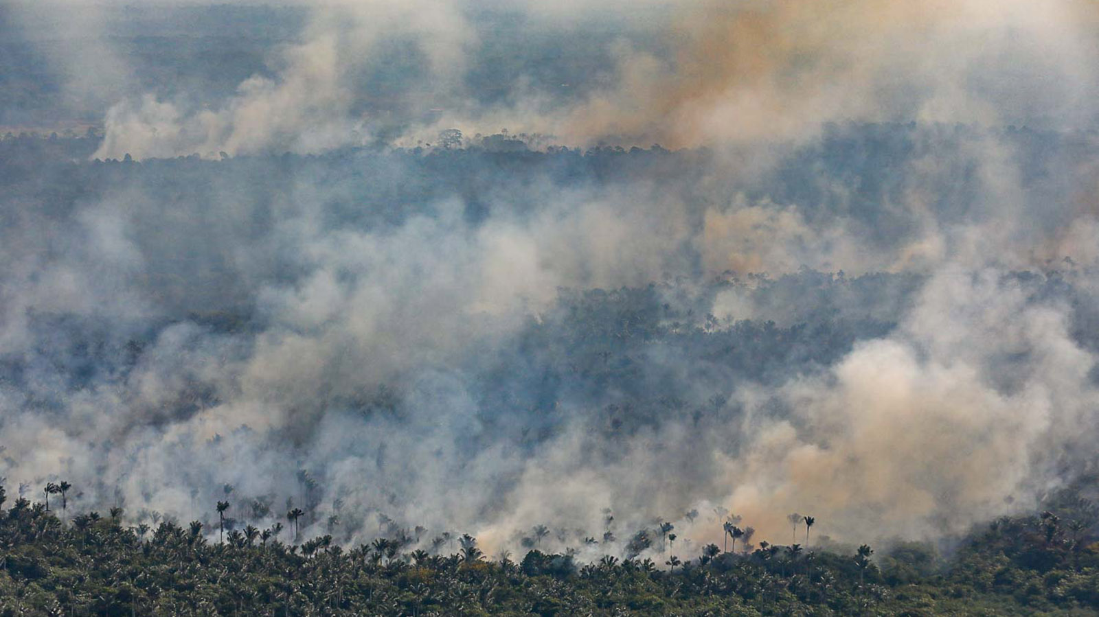 “Começou a ter fogo em floresta, sim”, alerta presidente do Ibama
