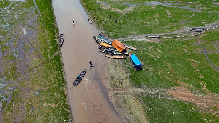 Como a ciência explica a seca histórica na Amazônia