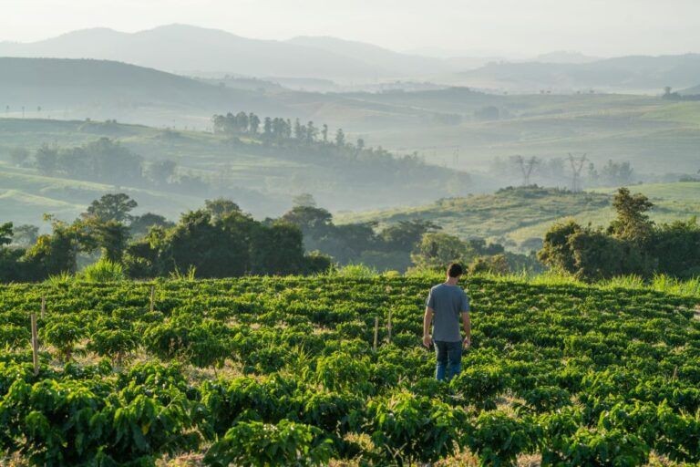Fazenda-Ambiental-Fortaleza_Felipe-Croce_70-768x512
