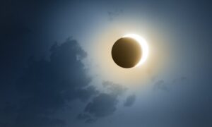 Como o eclipse influencia o comportamento dos animais?