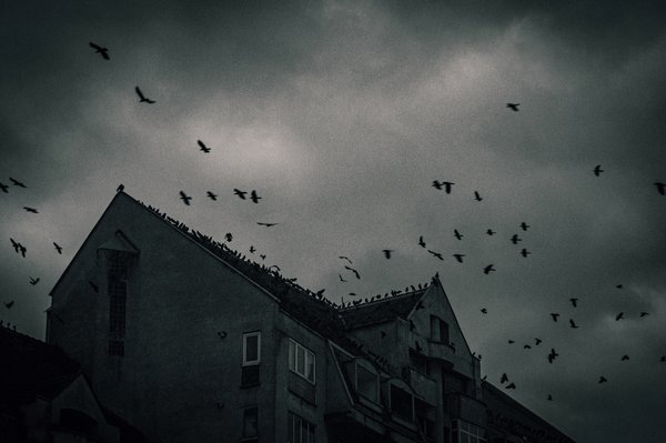 Conheça 6 locações de filmes de terror que assombraram os cinemas
