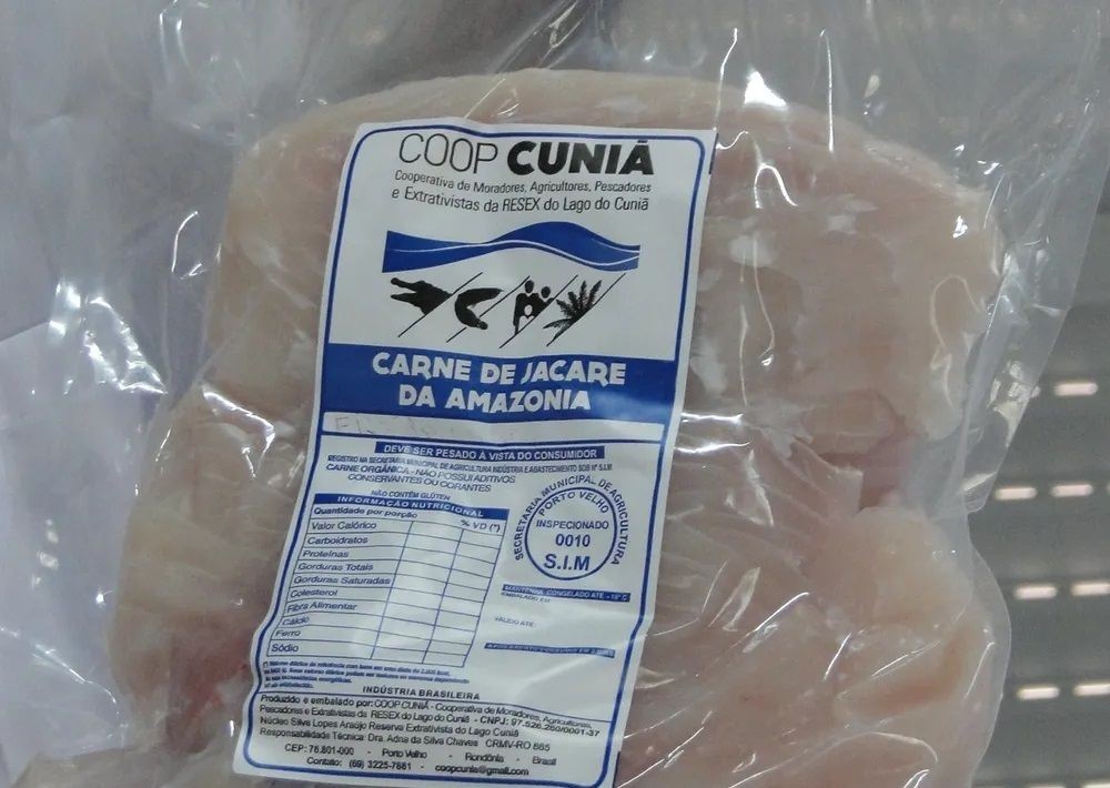 Conheça o único frigorífico do país com liberação para manejo de jacarés em área de reserva