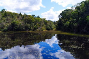 Descolonizando o nome do Parque Nacional do Descobrimento