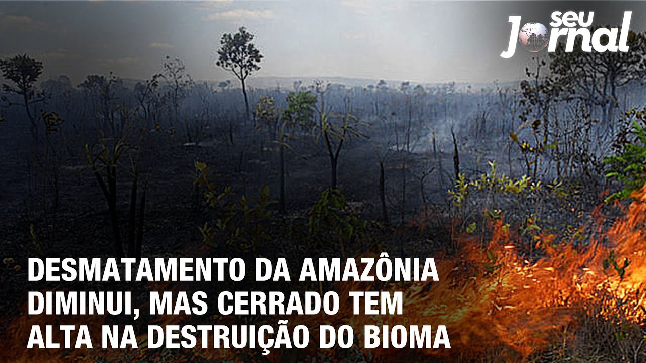 Desmatamento da Amazônia diminui, mas Cerrado tem alta na destruição do bioma