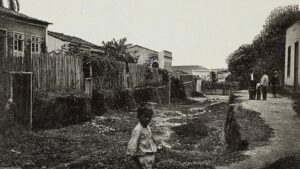 Dia do lugar - Amazônia Real