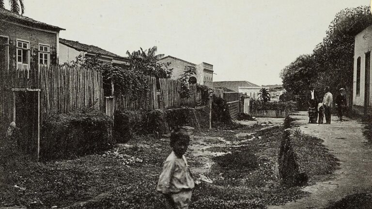 Dia do lugar - Amazônia Real