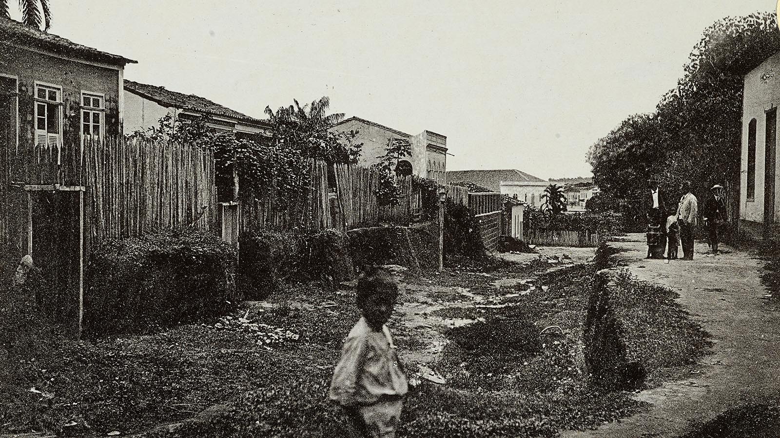 Dia do lugar – Amazônia Real