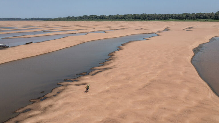 E depois da seca? - Amazônia Real