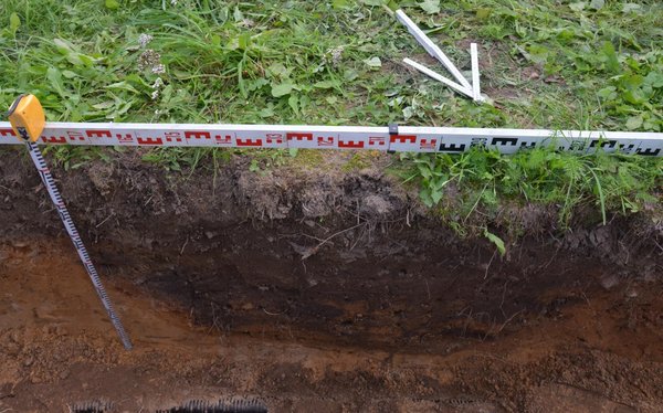 Espada da Era das Cruzadas e antigo cemitério são descobertos em imóvel na Finlândia