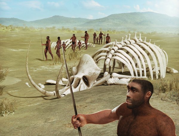 Hominídeos do passado brigavam por carcaças com outros animais