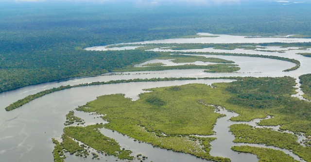 Iniciativa Amazônia +10 apoia expedições a áreas pouco estudadas da Amazônia