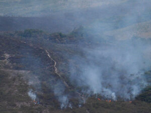 Mais de 9 milhões de hectares já queimaram no Brasil em 2023