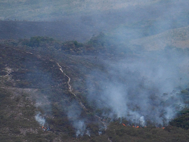 Mais de 9 milhões de hectares já queimaram no Brasil em 2023