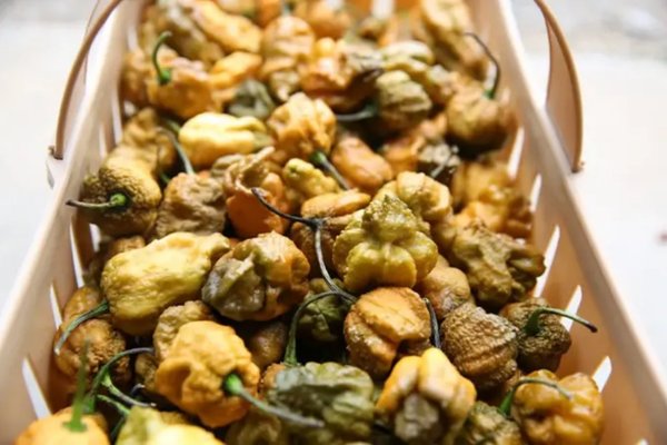 Pepper X: Guinness elege a nova ‘pimenta mais picante do mundo’