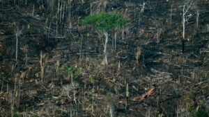 Povo Karipuna enfrenta extremos climáticos e ameaças de invasores