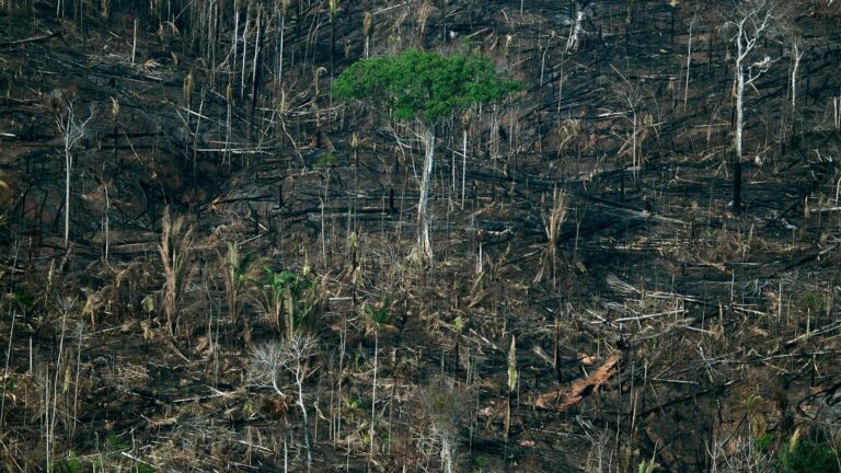 Povo Karipuna enfrenta extremos climáticos e ameaças de invasores